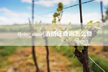 孟津消防证查询怎么查