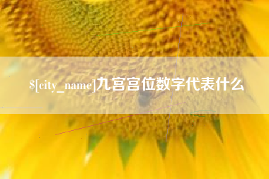 孟津九宫宫位数字代表什么