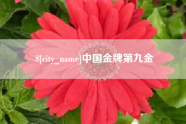 孟津中国金牌第九金