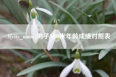 孟津男子5000米年龄成绩对照表