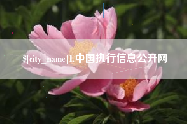 孟津1.中国执行信息公开网