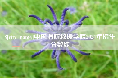 孟津中国消防救援学院2024年招生分数线