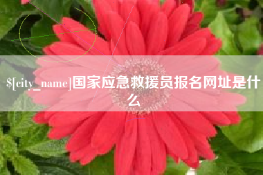 孟津国家应急救援员报名网址是什么