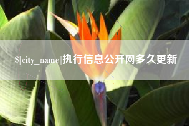 孟津执行信息公开网多久更新
