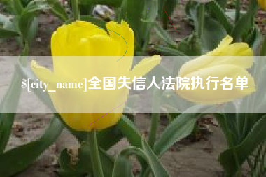 孟津全国失信人法院执行名单