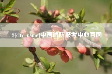孟津中国消防报考中心官网