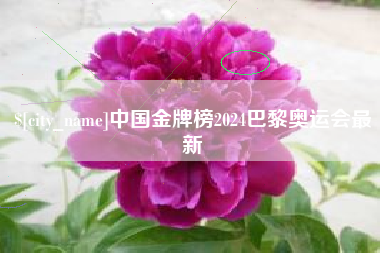 孟津中国金牌榜2024巴黎奥运会最新