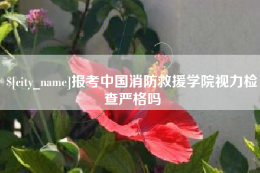 孟津报考中国消防救援学院视力检查严格吗