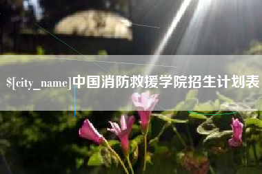 孟津中国消防救援学院招生计划表