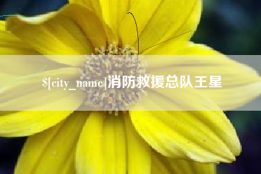 孟津消防救援总队王星