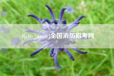 孟津全国消防招考网