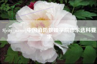 孟津中国消防救援学院山东选科要求