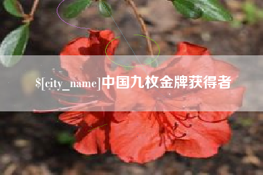 孟津中国九枚金牌获得者