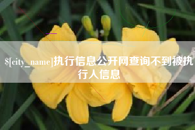 孟津执行信息公开网查询不到被执行人信息