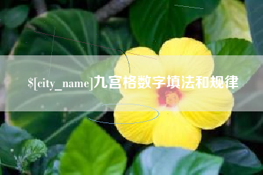 孟津九宫格数字填法和规律