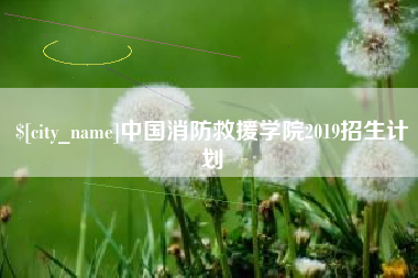 孟津中国消防救援学院2019招生计划