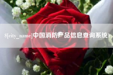 孟津中国消防产品信息查询系统1