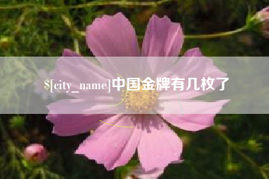 孟津中国金牌有几枚了