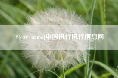 孟津中国执行执行信息网