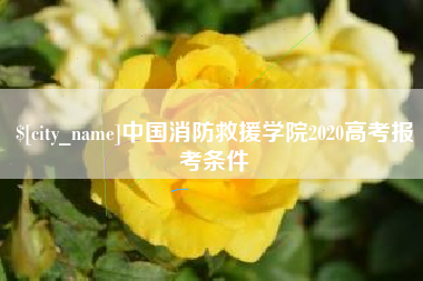 孟津中国消防救援学院2020高考报考条件