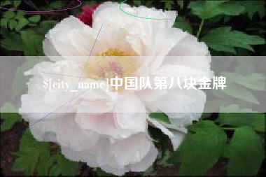 孟津中国队第八块金牌