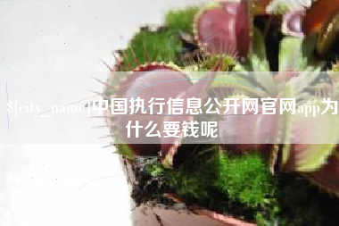 孟津中国执行信息公开网官网app为什么要钱呢