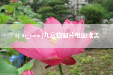 孟津九宫格图片组图唯美