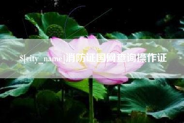 孟津消防证国网查询操作证