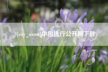 孟津中国执行公开网下载