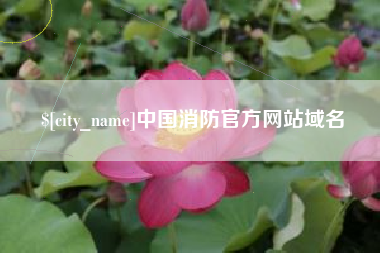孟津中国消防官方网站域名