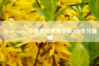 孟津中国消防救援学院2020年分数线