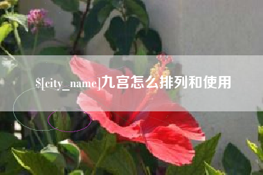 孟津九宫怎么排列和使用