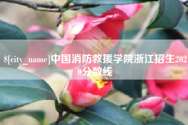 孟津中国消防救援学院浙江招生2020分数线