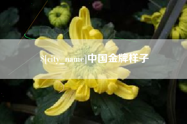 孟津中国金牌样子