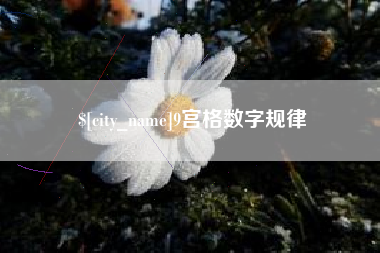 孟津9宫格数字规律
