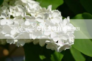 孟津中国金牌有哪些2021