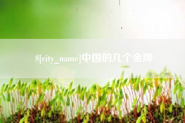 孟津中国的几个金牌