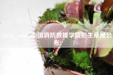 孟津中国消防救援学院招生章程公布!
