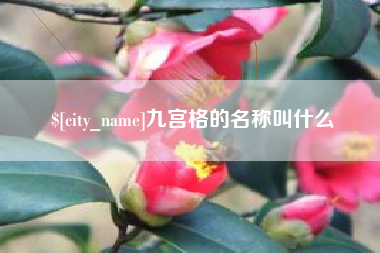 孟津九宫格的名称叫什么