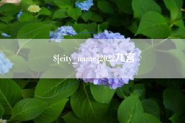 孟津2022九宫