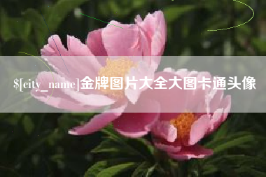 孟津金牌图片大全大图卡通头像