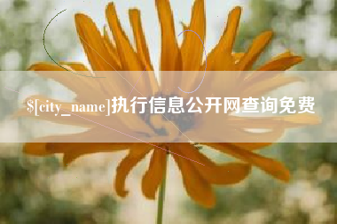 孟津执行信息公开网查询免费