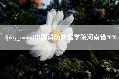 孟津中国消防救援学院河南省2020